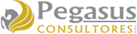 Pegasus Consultores S.A.C.